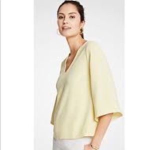 Ann Taylor Flare Sleeve Top